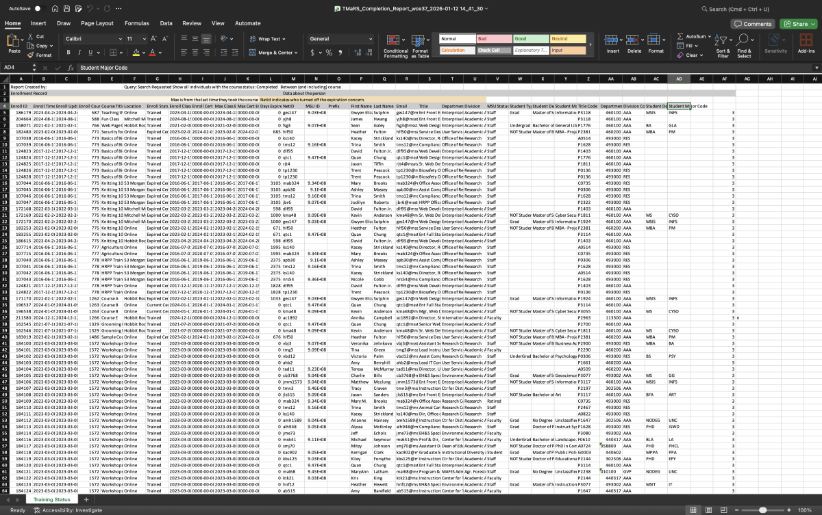 Completion Report Excel